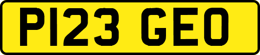 P123GEO