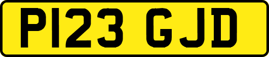 P123GJD
