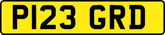 P123GRD