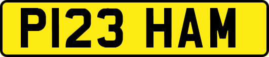 P123HAM