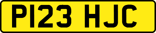P123HJC