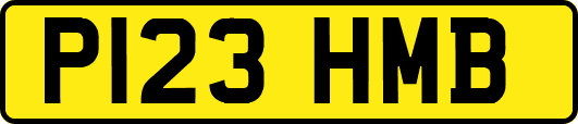 P123HMB