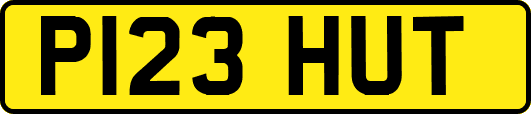 P123HUT
