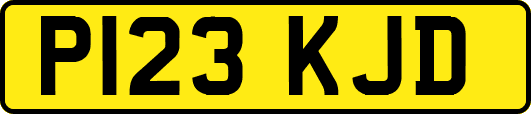 P123KJD