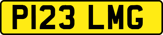 P123LMG