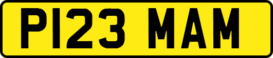 P123MAM