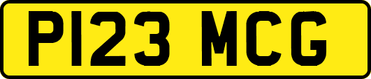 P123MCG