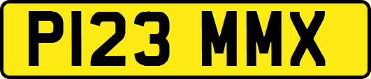 P123MMX