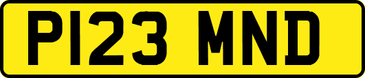 P123MND