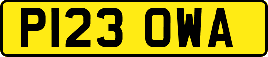 P123OWA