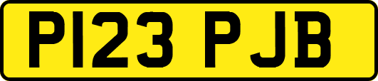 P123PJB