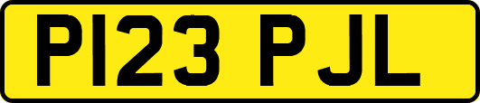 P123PJL
