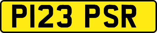 P123PSR