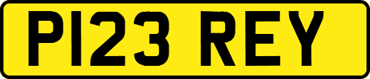 P123REY