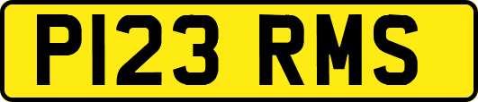 P123RMS