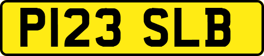 P123SLB