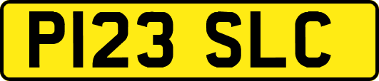 P123SLC
