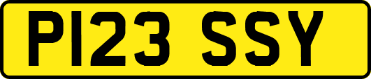 P123SSY