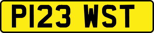 P123WST