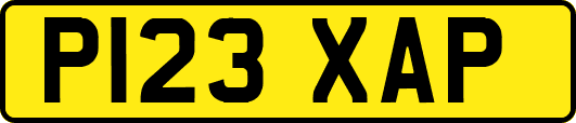 P123XAP