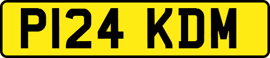 P124KDM