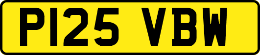 P125VBW