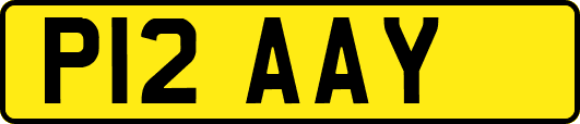 P12AAY