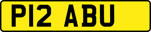 P12ABU