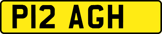 P12AGH