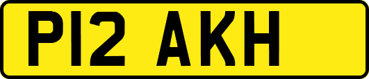 P12AKH