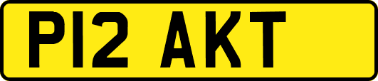 P12AKT
