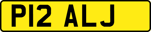 P12ALJ