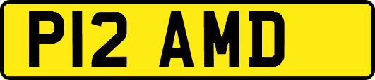 P12AMD