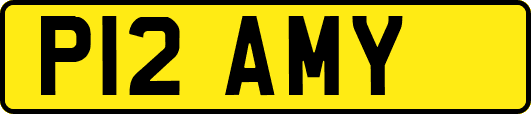 P12AMY