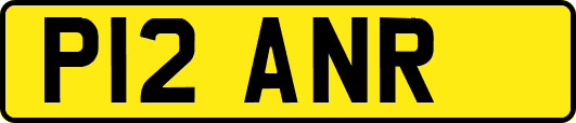 P12ANR