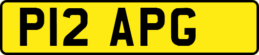P12APG