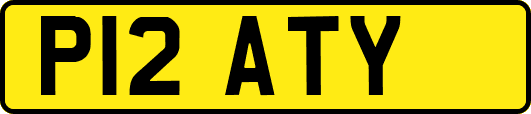 P12ATY