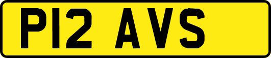 P12AVS