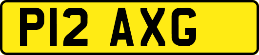P12AXG
