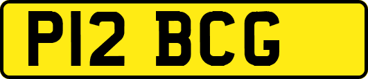 P12BCG