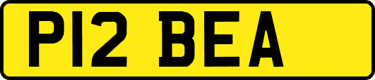 P12BEA