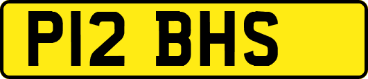 P12BHS
