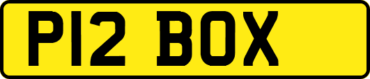 P12BOX