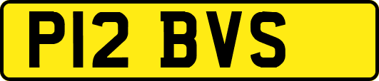 P12BVS
