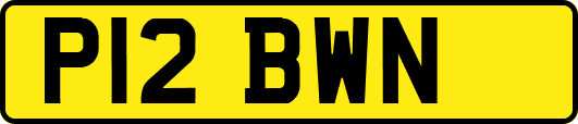 P12BWN