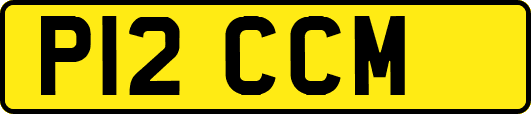 P12CCM