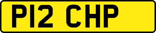 P12CHP