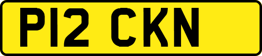 P12CKN