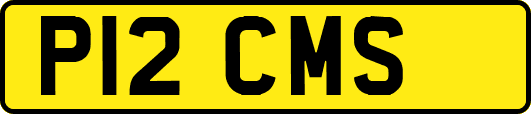 P12CMS