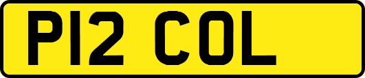 P12COL